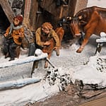 Krippe 2019 09 27 009